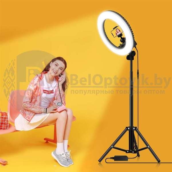 Кольцевая лампа на штативе LED RING 336 светодиодов, d335 мм  сумка С зеркалом - Изображение #9, Объявление #1671166