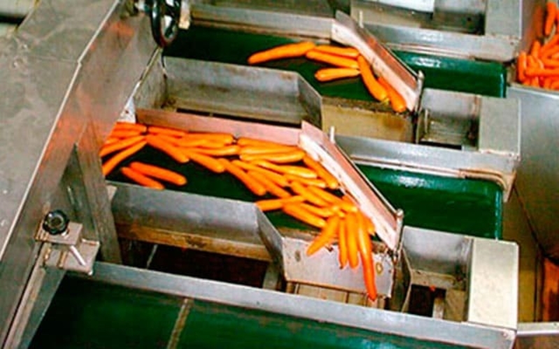 Линии переработки плодов и овощей "под ключ" - Изображение #3, Объявление #1669618