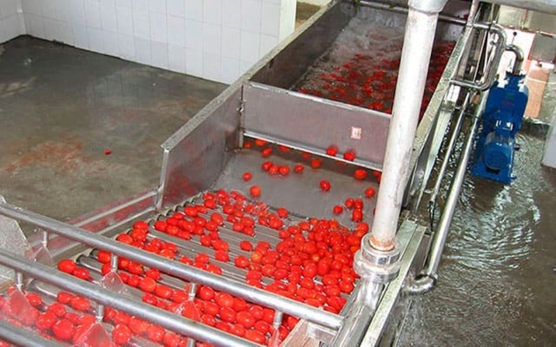 Линии переработки плодов и овощей "под ключ" - Изображение #4, Объявление #1669618