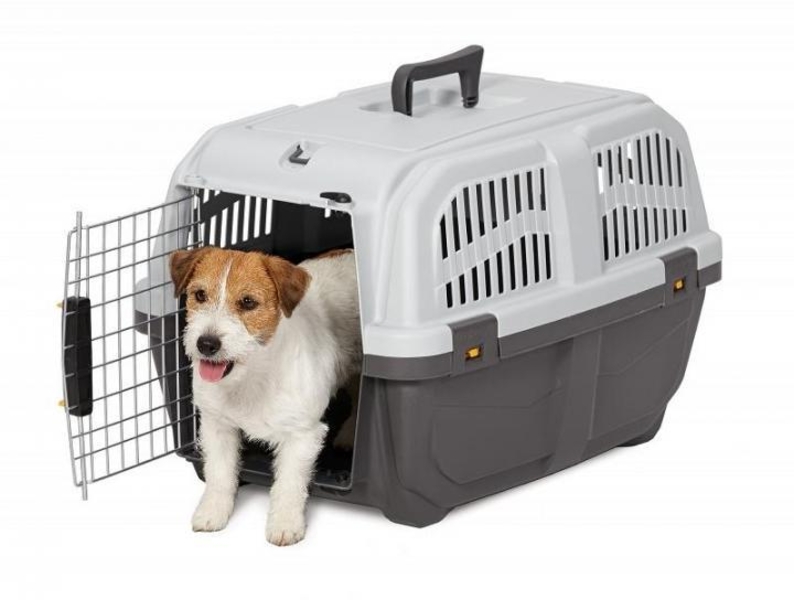 Переноски для животных напрокат - Изображение #7, Объявление #1677440