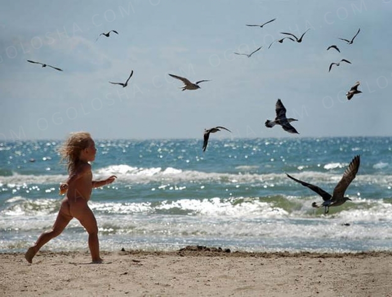 Отель Солнечная мини.Семейный одых на Черном море.Затока. - Изображение #1, Объявление #1679430