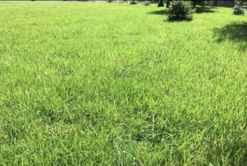 Автополив. Газон, Благоустройство - Изображение #7, Объявление #1680372