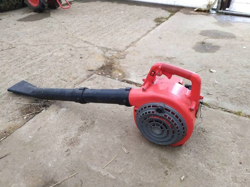 Воздуходувка (бензометла)  - Изображение #3, Объявление #1682640