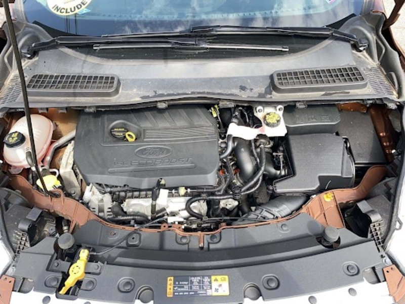 Ford, Escape 4D SUV 1.5L SE, 2017 - Изображение #5, Объявление #1686102