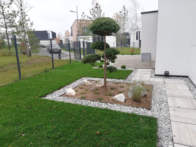 Рулонный газон - Изображение #3, Объявление #1697865