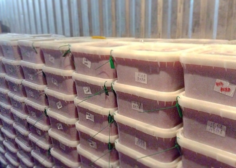 Икра красная (Кеты) - Изображение #7, Объявление #1699381