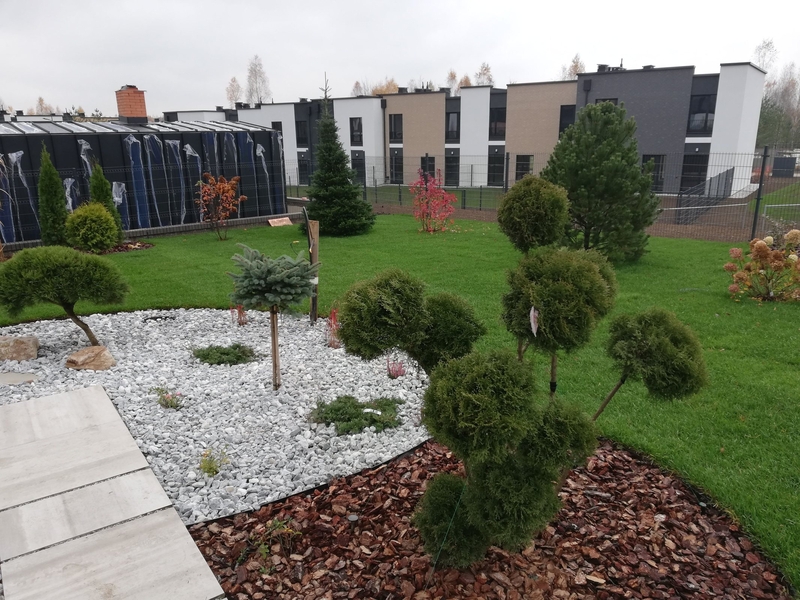 Рулонный газон - Изображение #4, Объявление #1697865