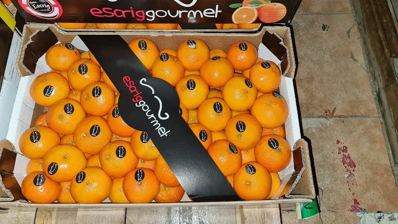 Предлагаем оптовые поставки мандаринов из Испании - Изображение #3, Объявление #1715444