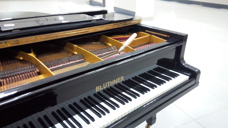 Настройка пианино, роялей. Консультации при покупке/продаже. помощь с перевозкой - Изображение #2, Объявление #1715775