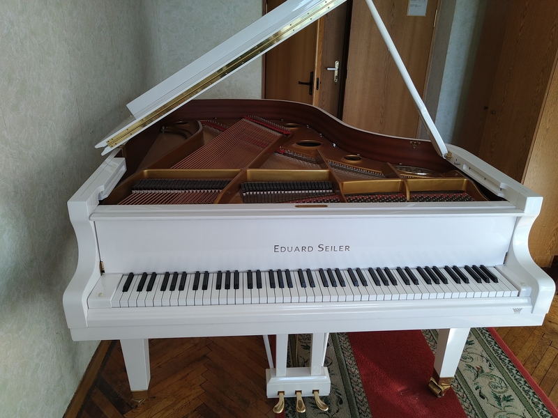 Настройка пианино, роялей. Консультации при покупке/продаже. помощь с перевозкой - Изображение #4, Объявление #1715775