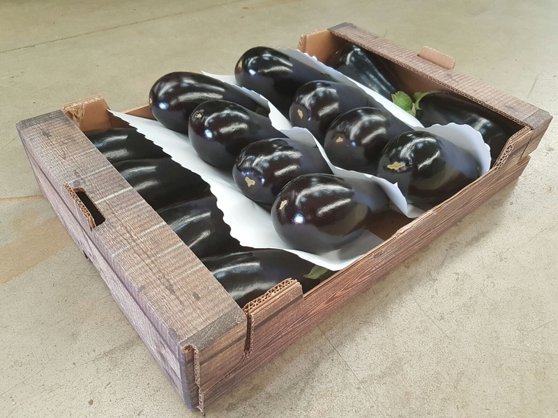 Предлагаем оптовые поставки баклажанов из Испании - Изображение #3, Объявление #1715449