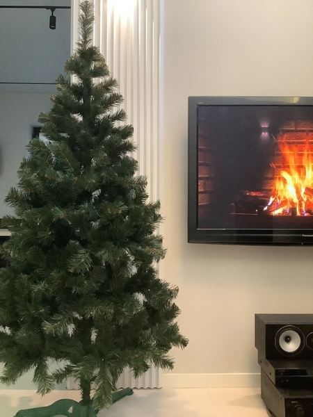 Новогодняя Елка - Изображение #7, Объявление #1731191