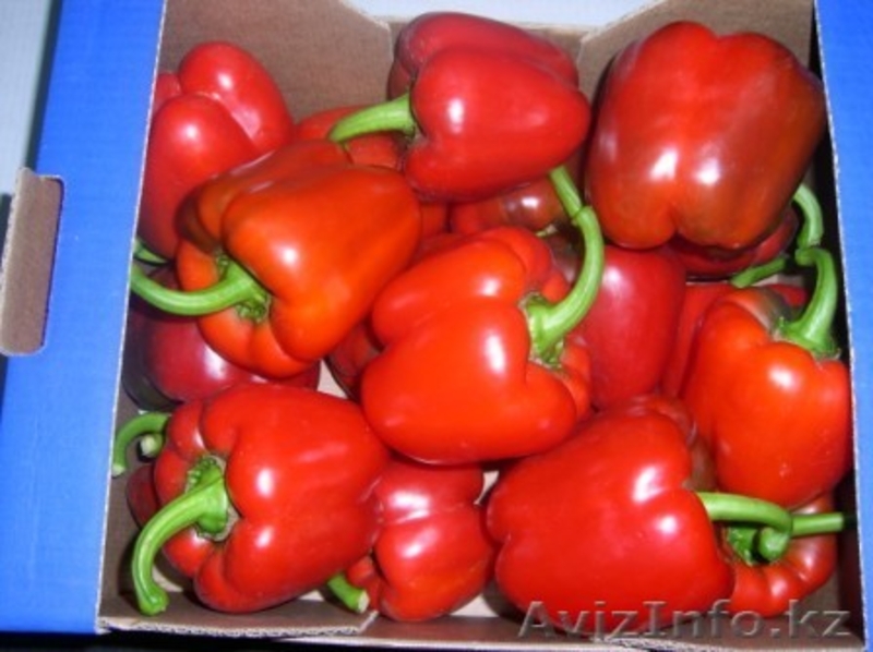 Фрукты и овощи из Испании . - Изображение #3, Объявление #170588