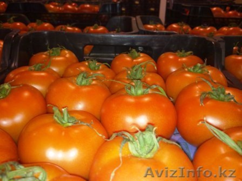 Фрукты и овощи из Испании . - Изображение #5, Объявление #170588