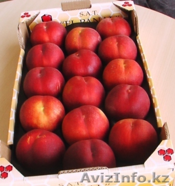 Фрукты и овощи из Испании . - Изображение #4, Объявление #170588