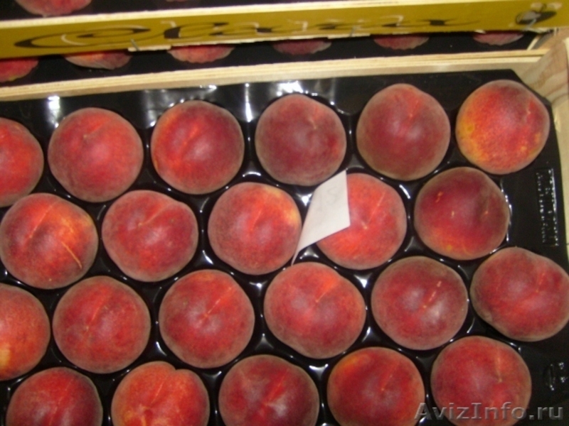 Свежие фрукты оптом из Испании - Изображение #5, Объявление #1485101