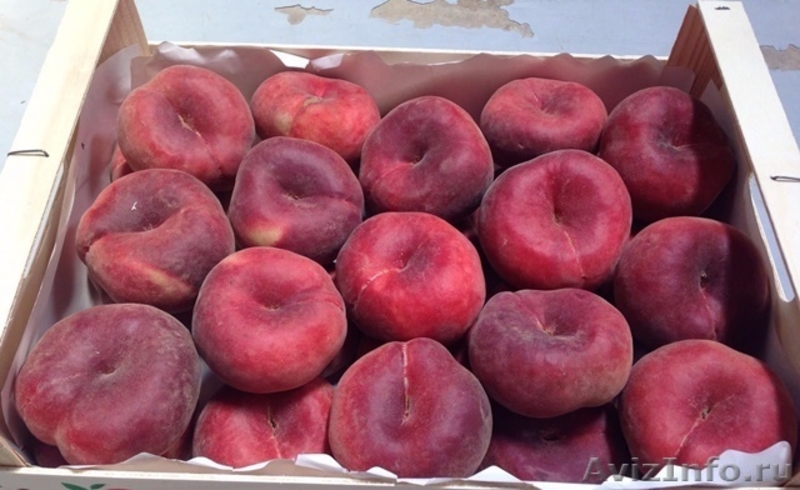 Свежие фрукты оптом из Испании - Изображение #6, Объявление #1485101