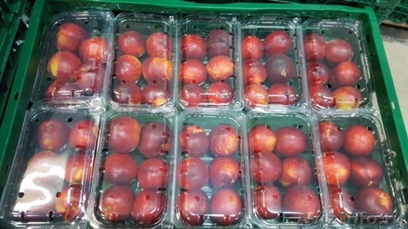 Свежие фрукты оптом из Испании - Изображение #7, Объявление #1485101