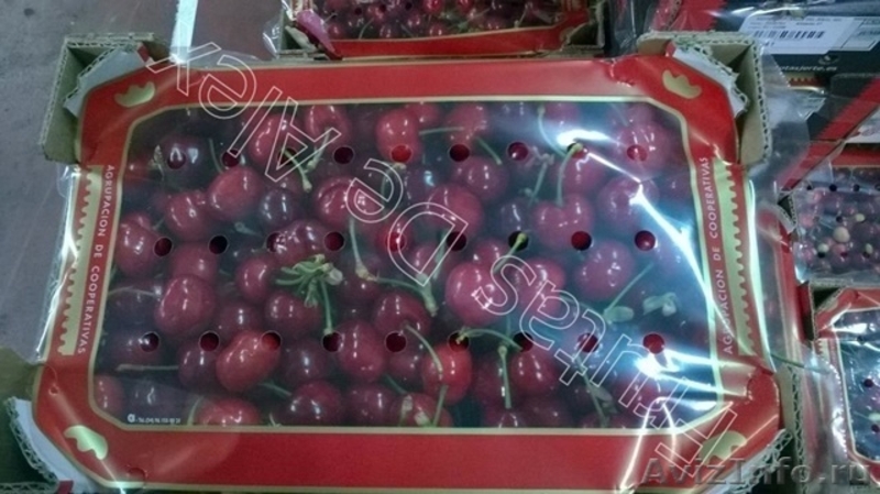 Свежие фрукты оптом из Испании - Изображение #8, Объявление #1485101