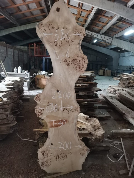 Слэбы из дуба, шпальтового бука, капового тополя, вербы, карагача. - Изображение #9, Объявление #1728514