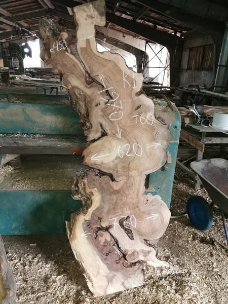 Слэбы из дуба, шпальтового бука, капового тополя, вербы, карагача. - Изображение #3, Объявление #1728514