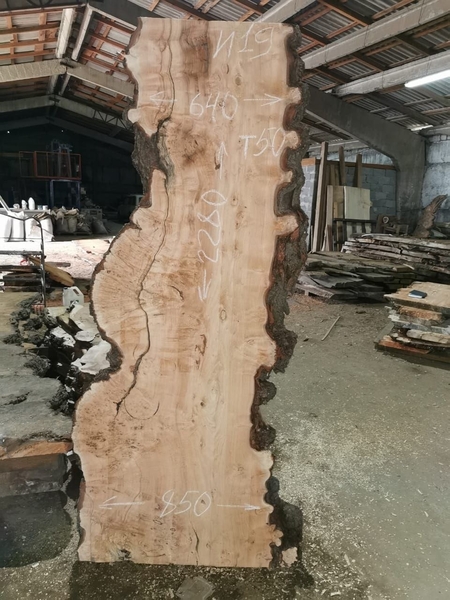 Слэбы из дуба, шпальтового бука, капового тополя, вербы, карагача. - Изображение #4, Объявление #1728514