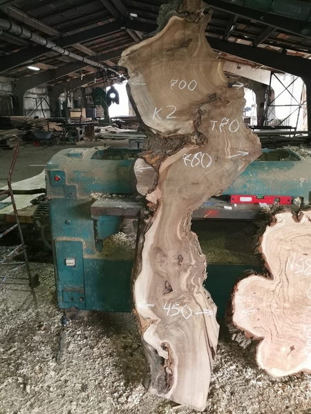 Слэбы из дуба, шпальтового бука, капового тополя, вербы, карагача. - Изображение #7, Объявление #1728514